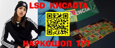 гидропоника Чебоксары