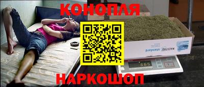 гидра Уссурийск