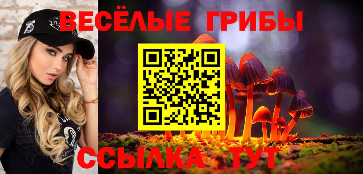 Галлюциногенные грибы Magic Shrooms  Галлюциногенные грибы GOLDEN TEACHER  Михайловск  Вход с VPN 